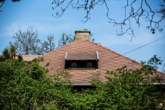 20190404_FA_4851