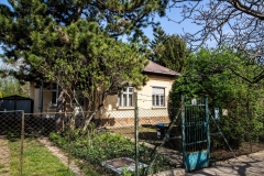 20190404_FA_4862