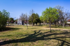 20190404_FA_4673
