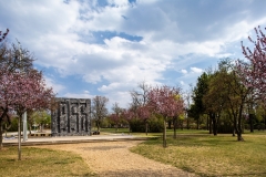 20190404_FA_4980