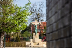 20190404_FA_4987