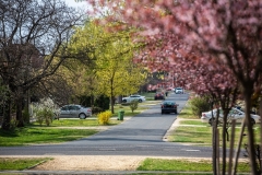 20190404_FA_49951