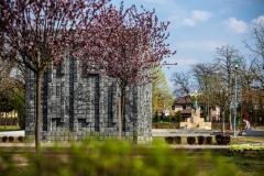 20190404_FA_5004