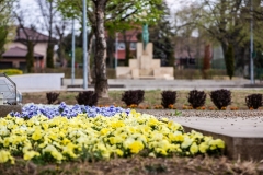 20190404_FA_5007