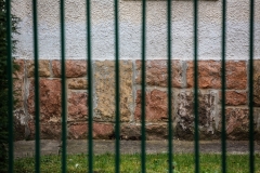 20190404_FA_4929